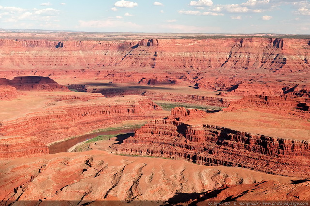 Le canyon creusé par le fleuve Colorado
Dead Horse Point state park (Canyonlands), Utah, USA
Mots-clés: USA etats-unis utah fleuve_colorado canyon