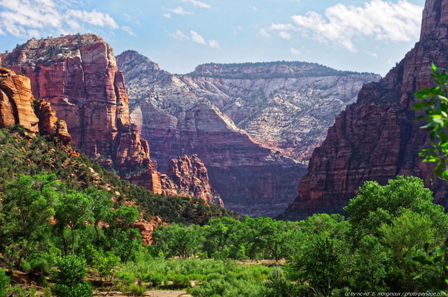 Le canyon du Parc National de Zion 
Zion National Park, Utah, USA
Mots-clés: zion utah usa canyon categ_ete montagne_usa