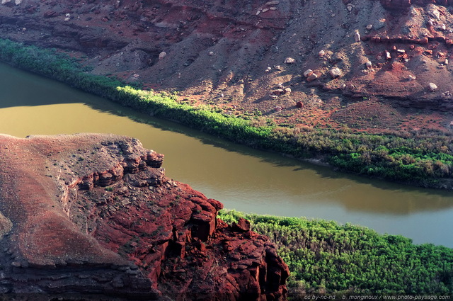 Le fleuve du Colorado au contrebas de Dead Horse Point
Dead Horse Point state park (Canyonlands), Utah, USA
Mots-clés: USA etats-unis utah fleuve_colorado canyon