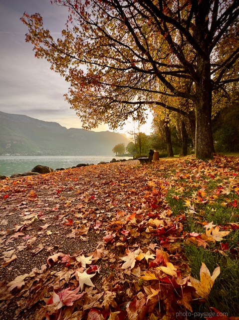 Lac d'Annecy en automne 
Annecy, Haute-Savoie 
Mots-clés: Automne categorielac cadrage_vertical feuilles_mortes