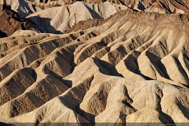 Zabriskie  Point : le lac de Furnace Creek asséché depuis 5 millions d'année est à l'origine des dépots de cendres et graviers qui ont créé ce site
Death Valley National Park,  Californie, USA
Mots-clés: californie usa etats-unis desert vallee_de_la_mort Zabriskie_Point