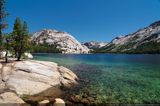 Le lac de Tenaya à  Yosemite
Yosemite National Park, Californie, USA
Mots-clés: USA etats-unis californie yosemite categorielac montagne_usa