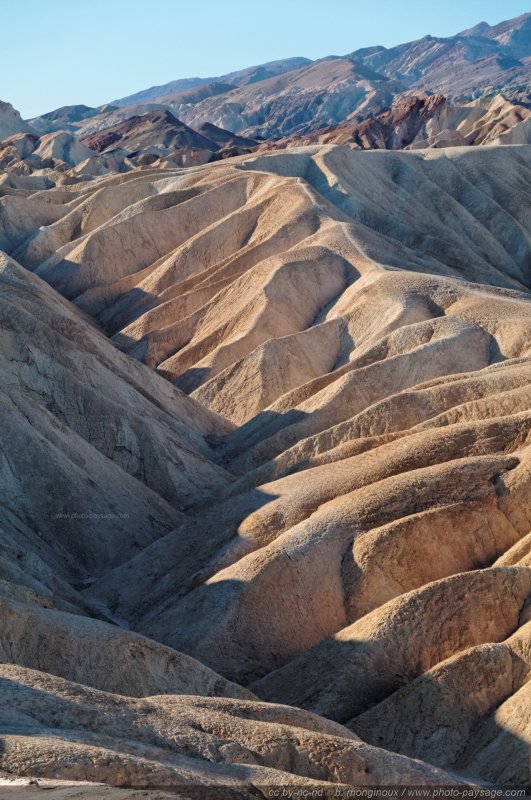 Le meilleur moment pour photographier Zabriskie Point  est peu après le lever du soleil
Death Valley National Park, Californie, USA
Mots-clés: californie usa etats-unis desert vallee_de_la_mort Zabriskie_Point montagne_usa cadrage_vertical