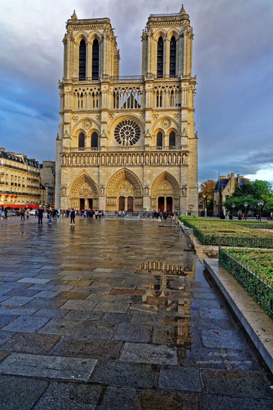 Le parvis de Notre Dame après la pluie
Ile de la Cité
Paris, France
Mots-clés: reflets monument pluie cadrage_vertical