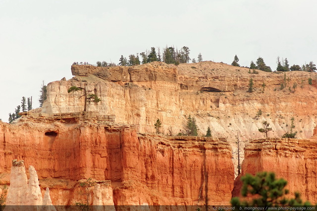 Le point de vue de Bryce Point vu depuis le fond de la vallée
Bryce Canyon National Park, Utah, USA
Mots-clés: bryce_canyon utah usa nature hoodoo categ_ete montagne_usa