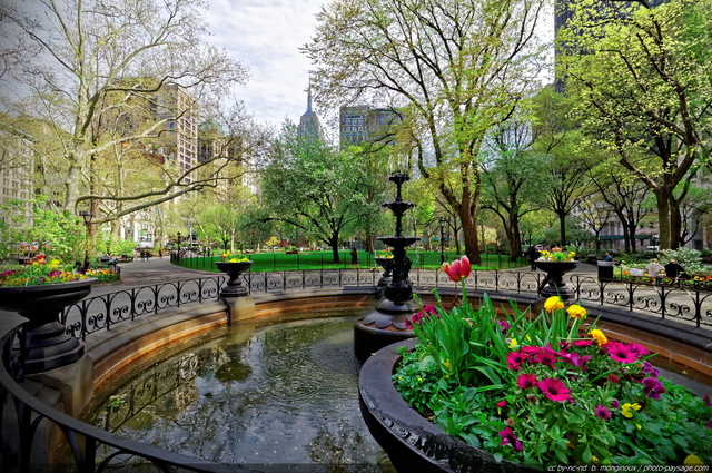 Le printemps à Madison Square park   2
Midtown Manhattan (centre de Manhattan)
New York, USA
Mots-clés: new-york usa printemps autres_fleurs fontaine