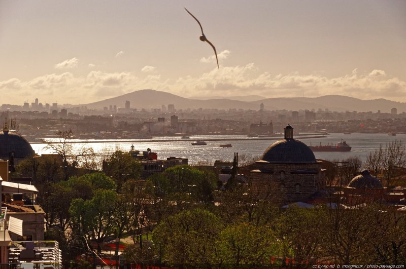 Le bosphore au petit matin
Istanbul, Turquie
Mots-clés: Turquie asie detroit bosphore mer contre-jour
