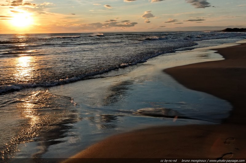 Le soleil couchant se reflète sur le sable humide de la plage
Massif dunaire de l'Espiguette
Le Grau du Roi / Port Camargue (Gard). 
Mots-clés: les_plus_belles_images_de_nature camargue gard mediterranee littoral mer coucher_de_soleil reflets plage sable languedoc_roussillon