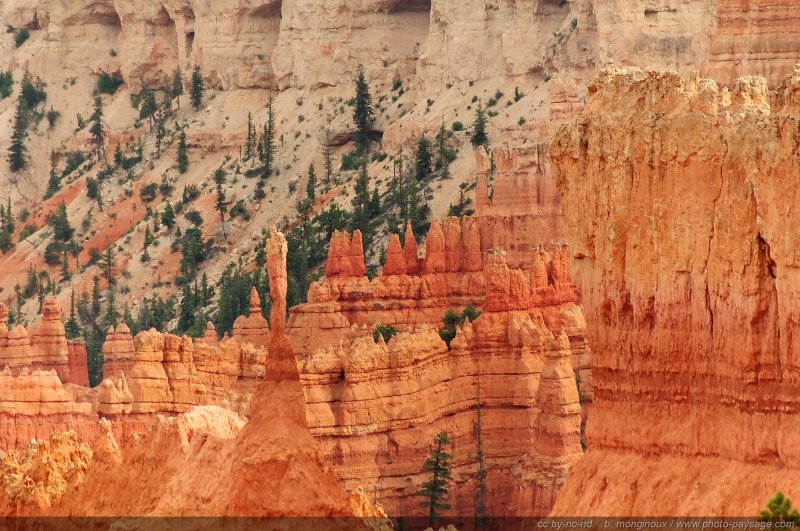 The Sentinel
Bryce Canyon National Park, Utah, USA
Mots-clés: bryce_canyon utah usa nature hoodoo categ_ete montagne_usa