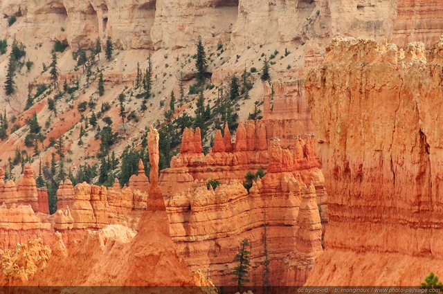 The Sentinel
Bryce Canyon National Park, Utah, USA
Mots-clés: bryce_canyon utah usa nature hoodoo categ_ete montagne_usa