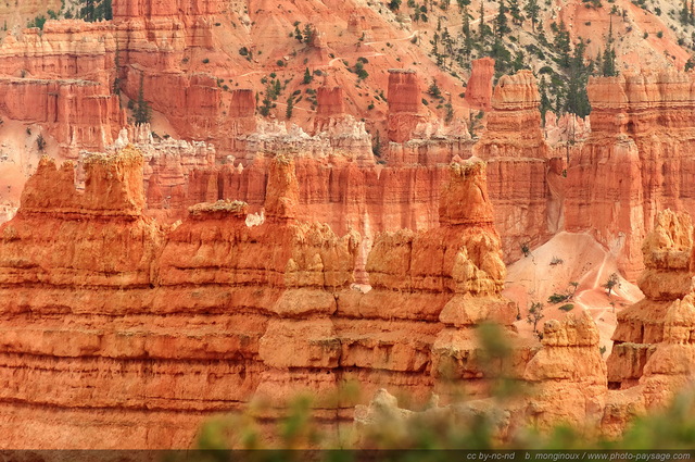 Les Hoodoos de Bryce Canyon   3
Bryce Canyon National Park, Utah, USA
Mots-clés: bryce_canyon utah usa nature hoodoo categ_ete