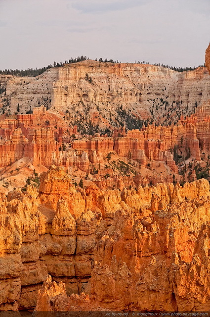 Les Hoodoos éclairés par la lumière du coucher de soleil   01
Sunset Point, Bryce Canyon National Park, Utah, USA
Mots-clés: bryce_canyon utah usa nature hoodoo categ_ete montagne_usa cadrage_vertical