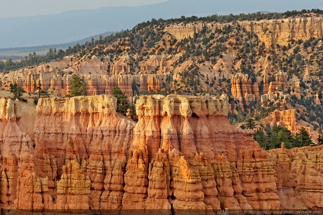 Les Hoodoos éclairés par la lumière du coucher de soleil   03
Sunset Point, Bryce Canyon National Park, Utah, USA
Mots-clés: bryce_canyon utah usa nature hoodoo categ_ete montagne_usa