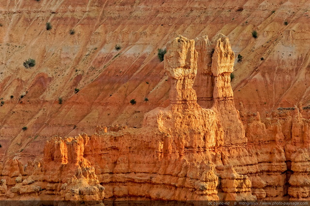 Les Hoodoos éclairés par la lumière du coucher de soleil   04
Sunset Point, Bryce Canyon National Park, Utah, USA
Mots-clés: bryce_canyon utah usa nature hoodoo categ_ete desert