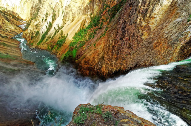 Les Lower Falls et le grand canyon de Yellowstone
Parc national de Yellowstone, Wyoming, USA
Mots-clés: yellowstone cascade usa wyoming canyon categ_ete les_plus_belles_images_de_nature