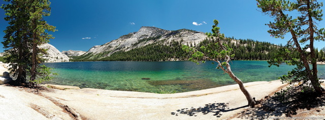 Les berges du lac Tenaya 
[i](assemblage panoramique HD) [/i]
Le lac de Tenaya, situé à  2484m d'altitude, est probablement le plus beau lac du Parc National de Yosemite. On y accède depuis la vallée de Yosemite en prenant la Tioga road. (Californie, USA)
Mots-clés: Yosemite californie usa categ_ete photo_panoramique categorielac montagne_usa