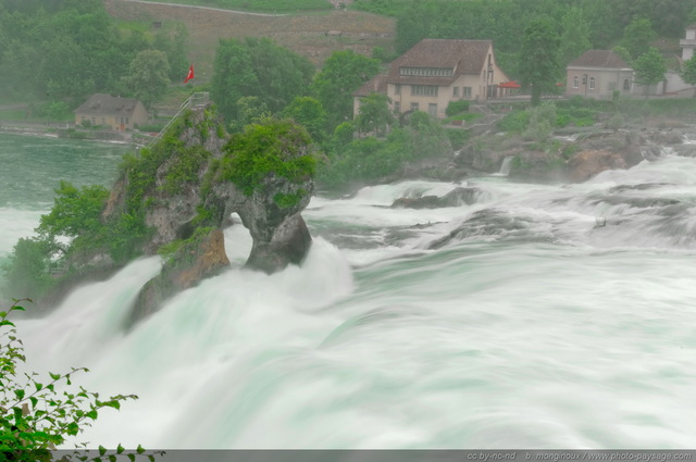 Les chutes du Rhin :  les plus grandes chutes d'eau d'Europe
Neuhausen, Suisse
Mots-clés: suisse fleuve_rhin cascade categ_ete