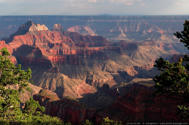 Les couleurs du Grand Canyon
Parc National du Grand Canyon (North Rim), Arizona, USA
Mots-clés: grand-canyon north-rim arizona usa nature montagne categ_ete les_plus_belles_images_de_nature