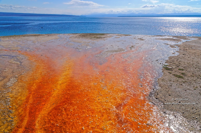 Les couleurs vives d'une source thermale se déversant dans le lac de Yellowstone
West Thumb geyser basin, Parc national de Yellowstone, Wyoming, USA
Mots-clés: yellowstone wyoming usa categorielac source_thermale