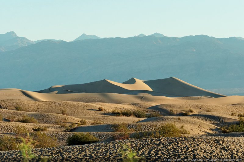 Les dunes de sable Mesquite Sand Dunes
Death Valley National Park, Californie, USA
Mots-clés: californie usa etats-unis desert vallee_de_la_mort dune sable montagne_usa