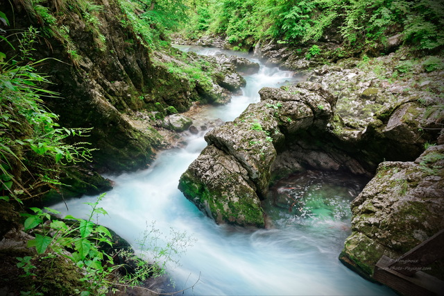 Gorges de Vintgar, rivière Radovna
Parc national du Triglav, Slovénie
Mots-clés: canyon riviere categ_ete slovenie