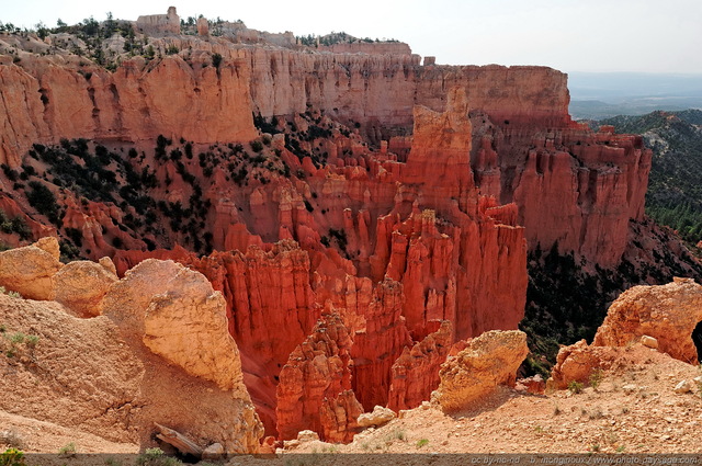 Les hoodoos de Paria View
Bryce Canyon National Park, Utah, USA
Mots-clés: bryce_canyon utah usa etats-unis hoodoo categ_ete