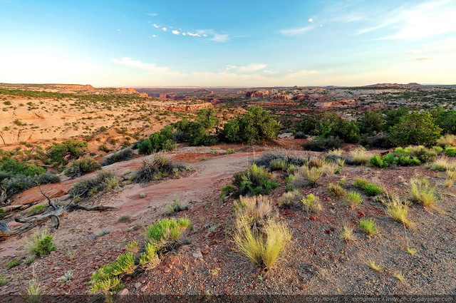 Les paysages de Canyonlands 
Island in the sky, Canyonlands National Park, Utah, USA
Mots-clés: canyonlands utah usa desert