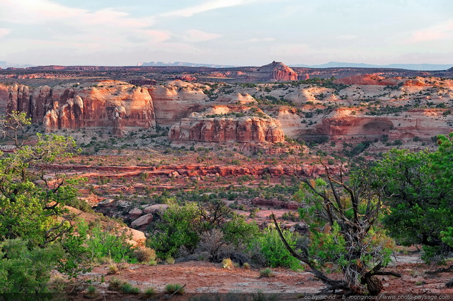 Les paysages de Canyonlands photographiés au lever du jour
Island in the sky, Canyonlands National Park, Utah, USA
Mots-clés: canyonlands utah usa desert