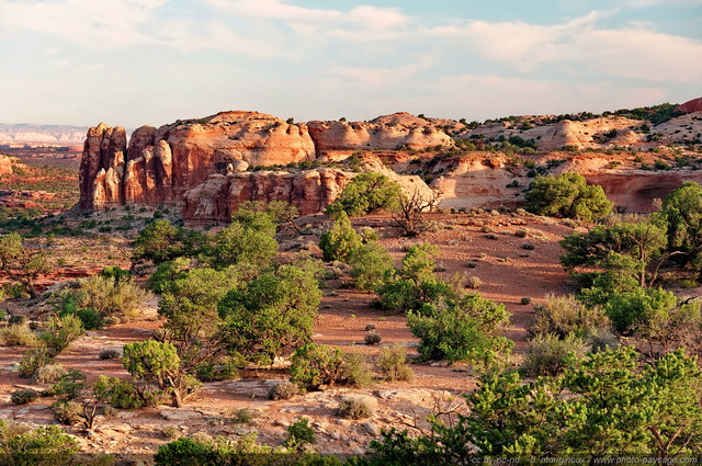 Les paysages de Canyonlands au petit matin
Island in the sky, Parc National de Canyonlands, Utah, USA
Mots-clés: canyonlands utah usa desert