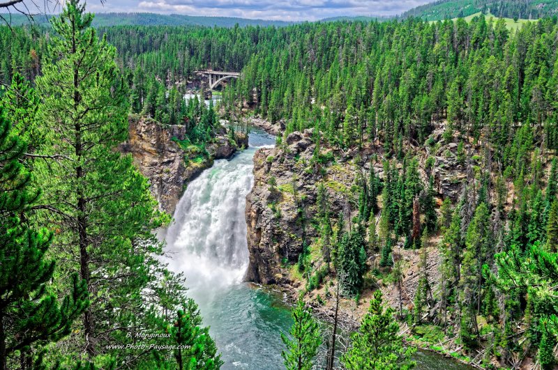 Les upper falls, Yellowstone
Parc national de Yellowstone, Wyoming, USA
Mots-clés: yellowstone cascade usa wyoming canyon categ_ete foret_usa