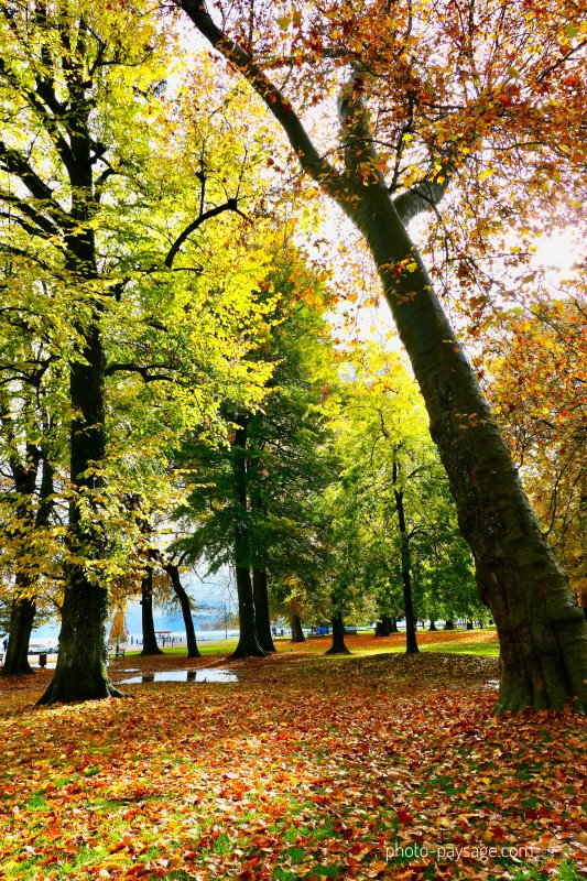 Jardins de l'Europe, Annecy, Haute-Savoie
Mots-clés: belles-photos-automne automne annecy