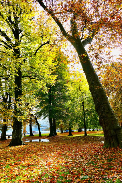 Jardins de l'Europe, Annecy, Haute-Savoie
Mots-clés: belles-photos-automne automne annecy