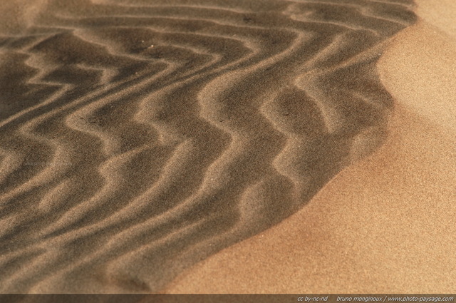 Des motifs sculptés par le vent sur les dunes
Massif dunaire de l'Espiguette
Le Grau du Roi / Port Camargue (Gard). 
Mots-clés: camargue gard mediterranee littoral mer dune plage sable languedoc_roussillon texture