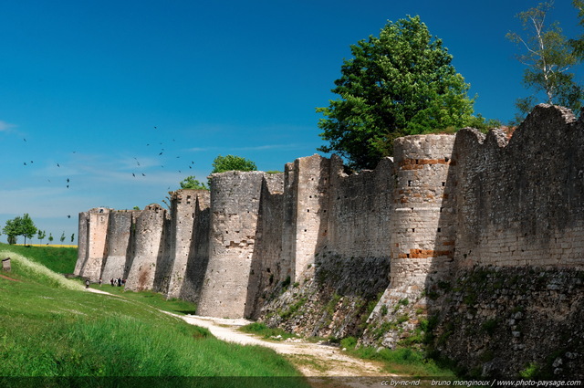 Les remparts de Provins
Cité médiévale de Provins, Seine et Marne
Mots-clés: unesco_patrimoine_mondial seine_et_marne rempart monument