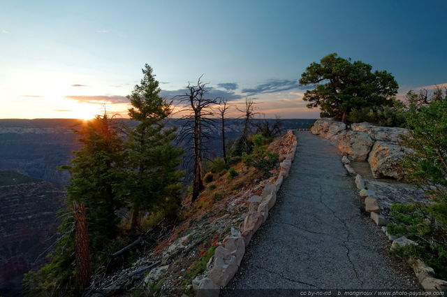 Lever de soleil sur Bright Angel Point 
Parc National du Grand Canyon (North Rim), Arizona, USA
Mots-clés: grand-canyon north-rim arizona usa nature montagne categ_ete lever_de_soleil sentier conifere