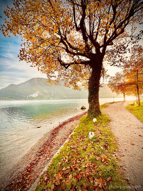 Matin d'automne au bord du lac d'Annecy
Haute-Savoie 
Mots-clés: Aube Annecy belles-photos-automne Categorielac brume categoriealpes cadrage_vertical sentier feuilles_mortes