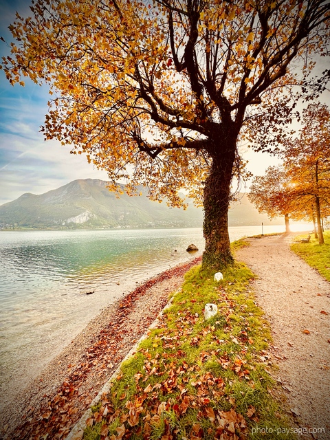 Matin d’automne au bord du lac d’Annecy
Haute-Savoie 
Mots-clés: Aube Annecy belles-photos-automne Categorielac brume categoriealpes cadrage_vertical sentier feuilles_mortes