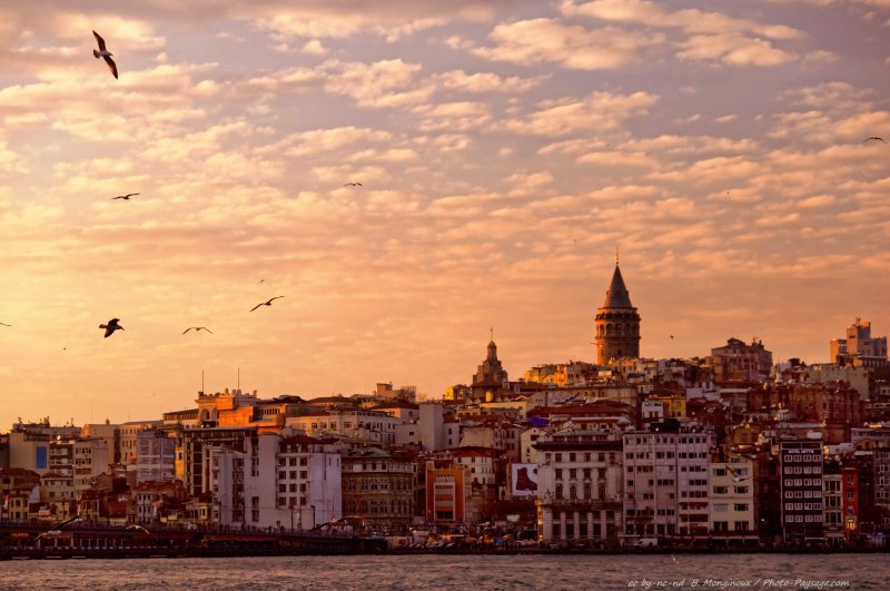 Derniers rayons de soleil sur la Tour Galata
Istanbul, Turquie
Mots-clés: turquie bosphore tour galata beyoglu oiseau mouette crepuscule les_plus_belles_images_de_ville