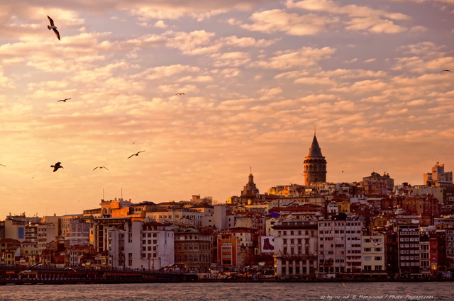 Derniers rayons de soleil sur la Tour Galata
Istanbul, Turquie
Mots-clés: turquie bosphore tour galata beyoglu oiseau mouette crepuscule les_plus_belles_images_de_ville