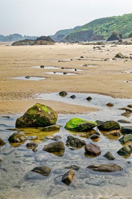 Balade à  marée basse sur une plage de Bretagne
Côtes-d'Armor
Mots-clés: bretagne plage cadrage_vertical