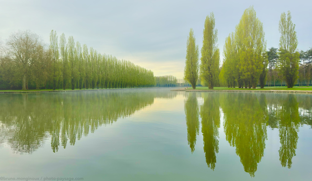 Reflets sur le grand canal
Parc de Sceaux
Mots-clés: Reflets printemps brume photo_panoramique minimaliste les_plus_belles_images_de_ville alignement_d_arbre