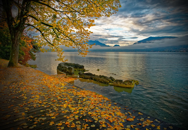 Matin d'automne au bord du lac d'Annecy
Haute-Savoie
Mots-clés: annecy automne belles-photos-automne categorielac