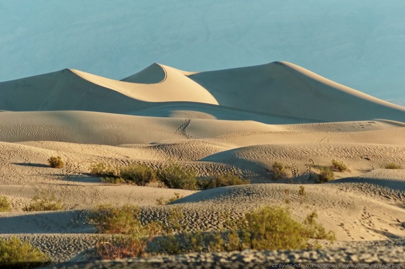 Mesquite Sand Dunes
Death Valley National Park, Californie, USA
Mots-clés: californie usa etats-unis desert vallee_de_la_mort dune sable