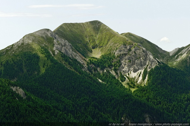 Paysage dans le massif de Nockberg
Alpes autrichiennes
Mots-clés: montagne nature Alpes_Autriche foret_alpes