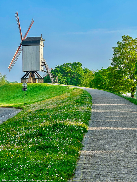 Moulin à  vent
Bruges, Belgique
Mots-clés: Chemin printemps moulin cadrage_vertical