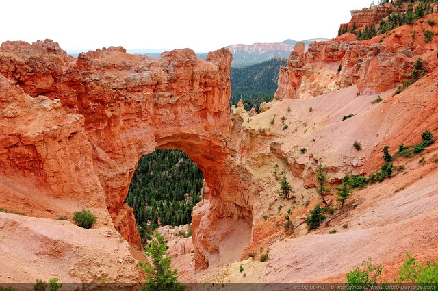 Natural Bridge
Bryce Canyon National Park, Utah, USA
Mots-clés: bryce_canyon utah usa nature hoodoo categ_ete arche_naturelle montagne_usa