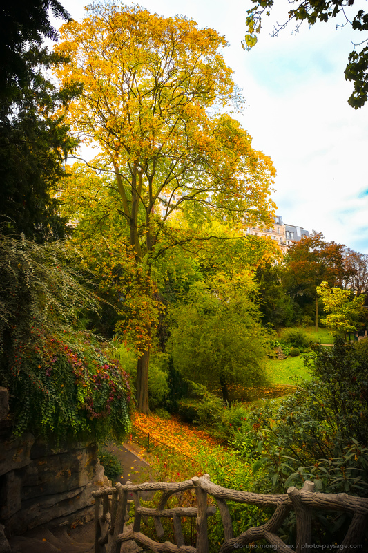 Nature urbaine en automne
Jardins du Trocadéro, Paris
Mots-clés: Automne cadrage_vertical belles-photos-automne