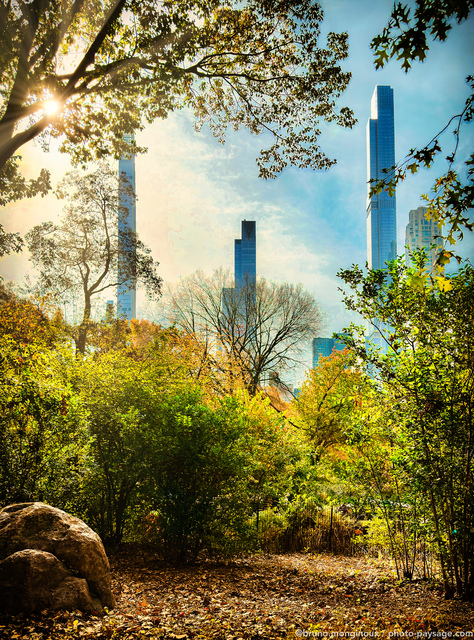 Nature urbaine 
Central Park, New-York, USA
Mots-clés: cadrage_vertical automne les_plus_belles_images_de_ville