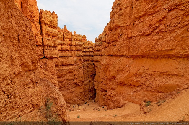 Navajo loop trail
Sunset Point, Bryce Canyon National Park, Utah, USA
Mots-clés: bryce_canyon utah usa nature hoodoo categ_ete sentier montagne_usa