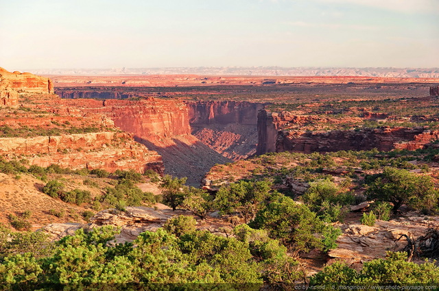 Neck Springs - Parc National de  Canyonlands
Island in the sky, Canyonlands National Park, Utah, USA
Mots-clés: canyonlands utah usa desert